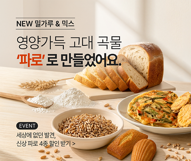 파로 4종 런칭